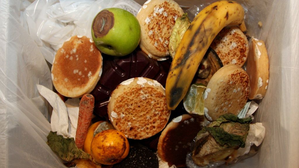 Food waste key in emissions cuts