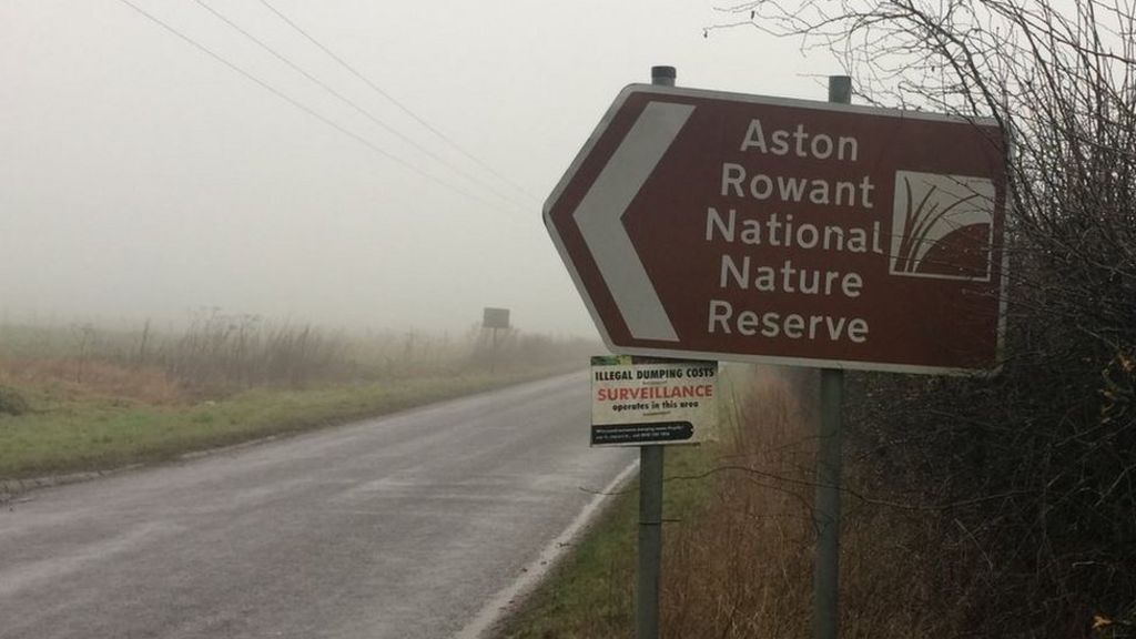 Plane crash at Aston Rowant Nature Reserve kills pilot