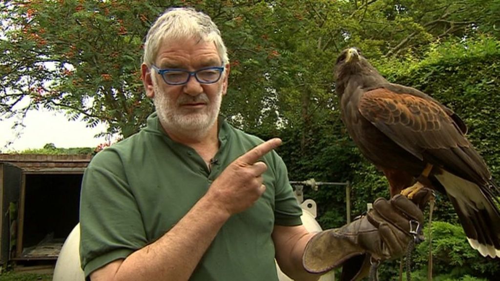 Cubbington falconer 'uprooted' by HS2 wins compensation battle