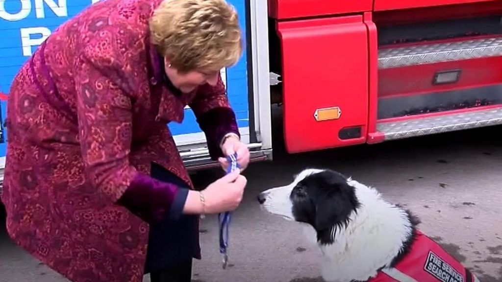 Fire dog awarded PDSA's Order of Merit
