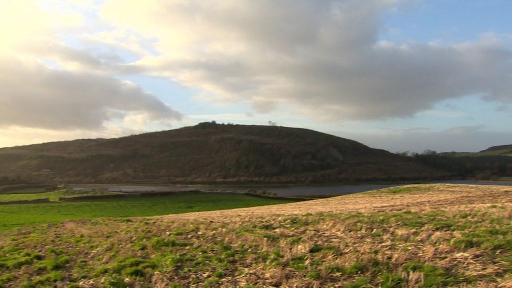 Woodland burial: Planning sought for NI's first site