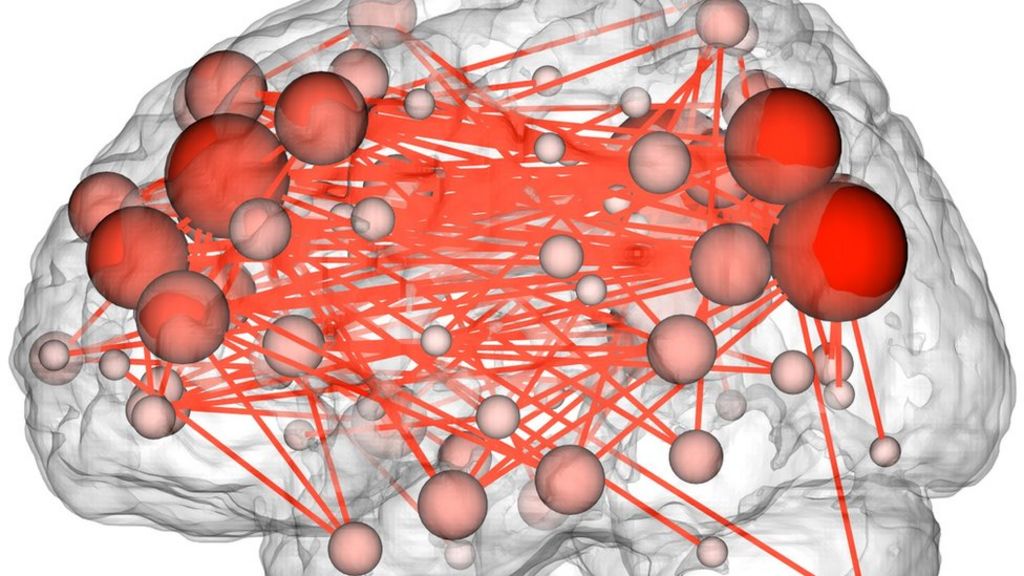 research papers brain fingerprinting Find new research papers in: physics chemistry biology polygraph , lie detection, polygraph, narco analysis, and 10 more brain mapping, brain fingerprinting. research papers brain fingerprinting Find new research papers in: physics chemistry biology polygraph , lie detection, polygraph, narco analysis, and 10 more brain mapping, brain fingerprinting.