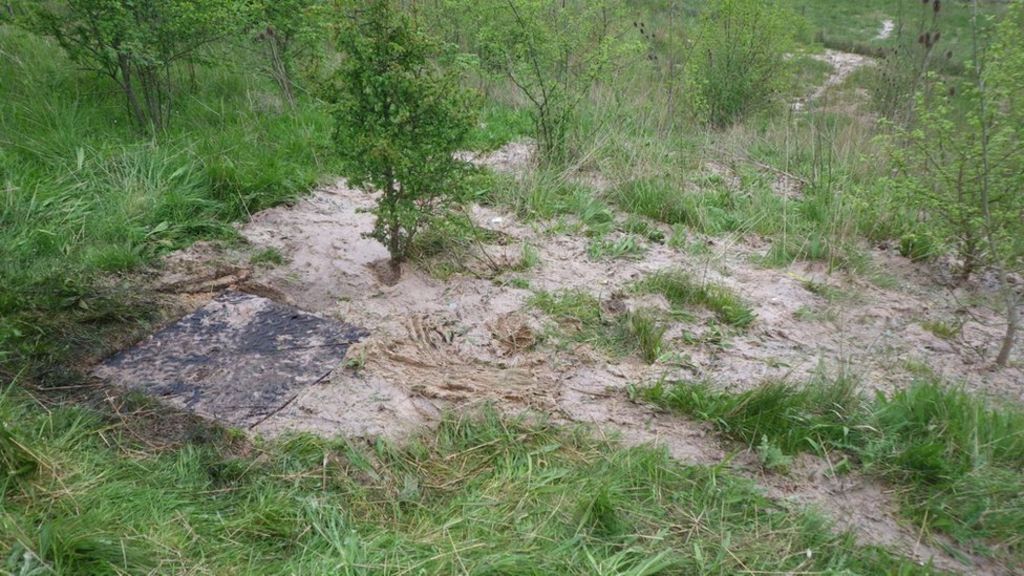Severn Trent fined £426,000 for three sewage leaks
