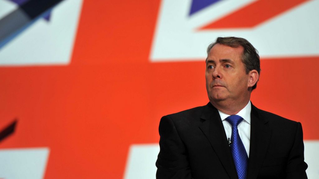 I'll vote to leave the EU, says Fox