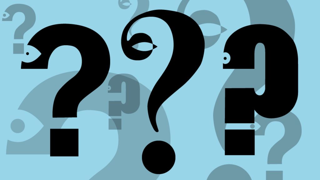 Birmingham: Which question do you want answered?