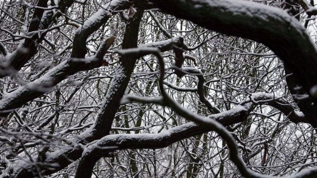 VIDEO: Cash calendar - tips for January