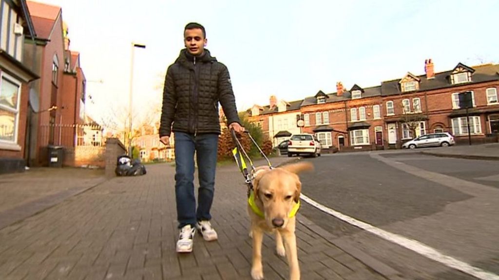 Uber drivers refuse to pick up man with guide dog