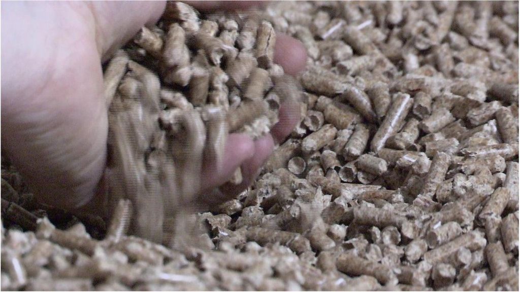 RHI scandal: Foster's position 'untenable if she does not step aside'