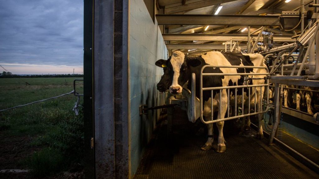 'Industrial' farms should lose subsidies