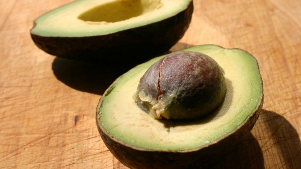 New Zealand avocado thefts grow as demand surges