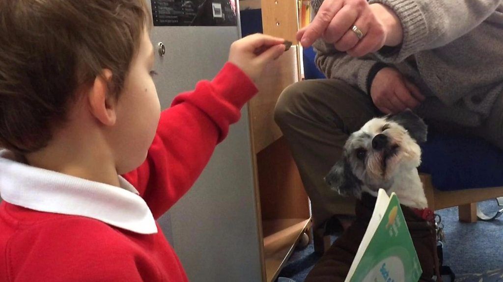 Brian the dog helps 'reluctant readers' at Leigh school