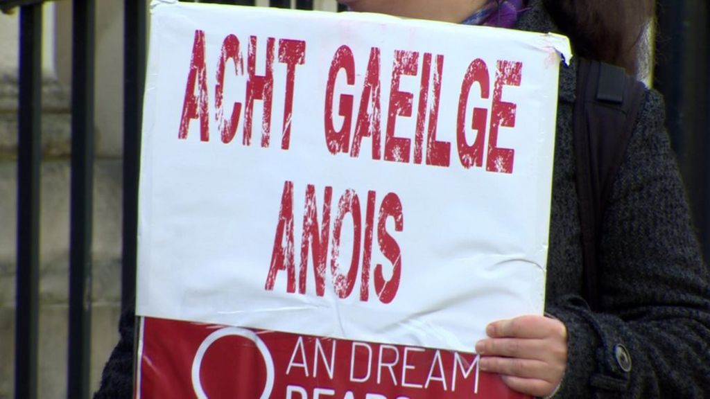 'Executive failed' over Irish language strategy, court rules