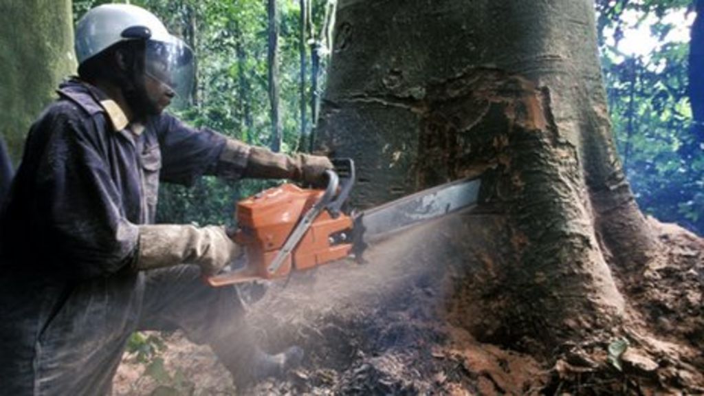 Paris deal could 'displace millions'