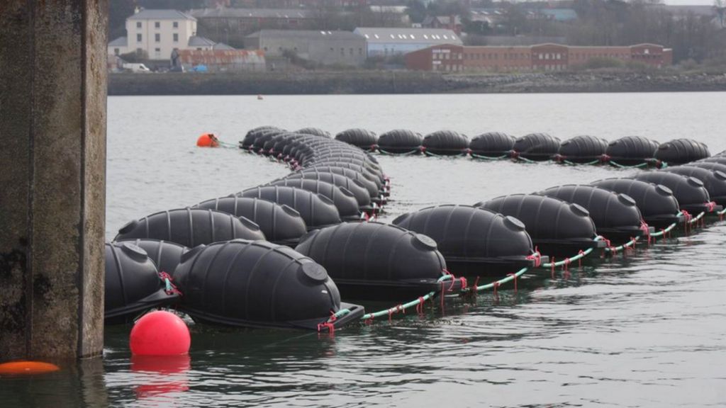 Seaweed farm part of biofuel study