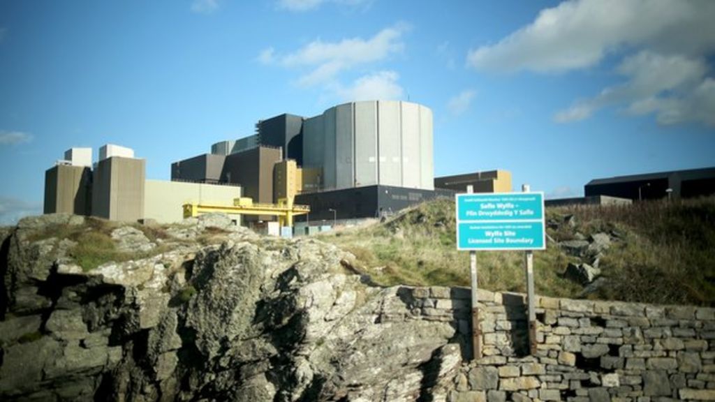 Flaw found in French nuclear reactor