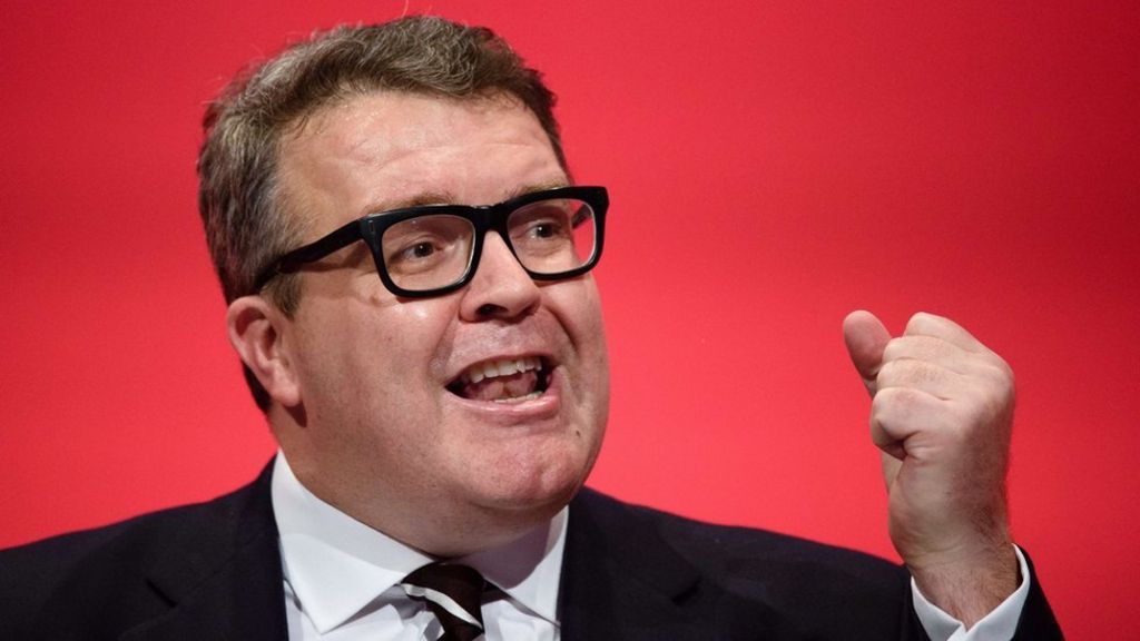 Watson defends actions in Brittan case