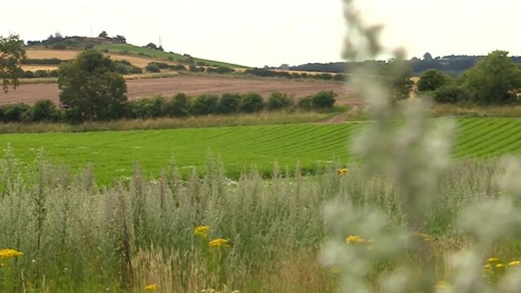 Digester plans 'on hold' after outcry