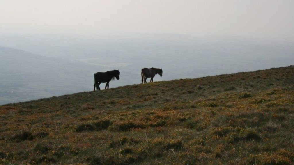 Future of Welsh national parks report criticised
