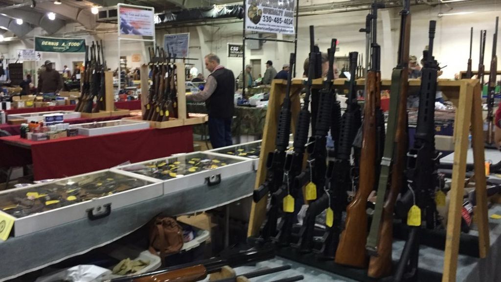 Trying to overturn a US gun law