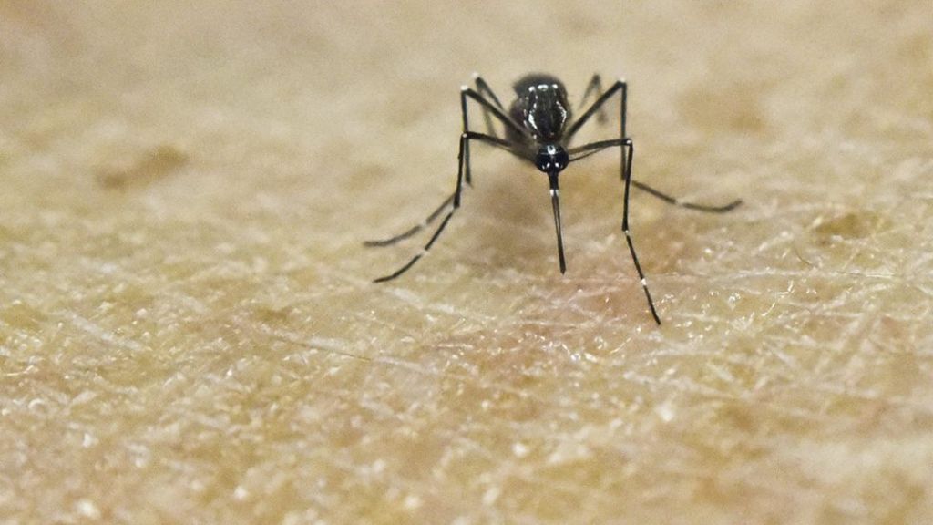Zika virus 'scarier than thought' - US