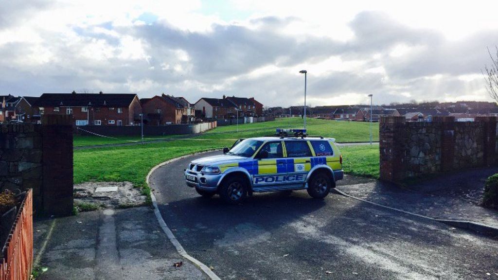 Londonderry security alert an 'elaborate hoax'