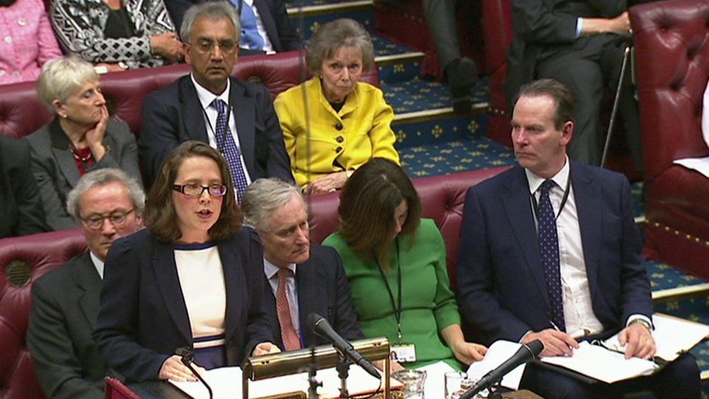 Tory leader says peers should not 're-run' EU referendum