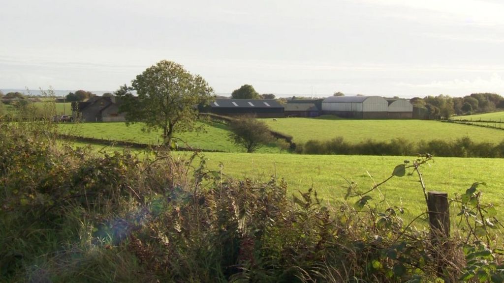 Swatragh: Woman killed by cattle during farm incident