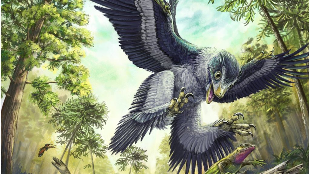 Seed clue to how birds outlived dinosaurs