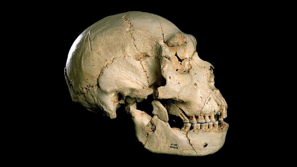 DNA identifies 'early Neanderthals'