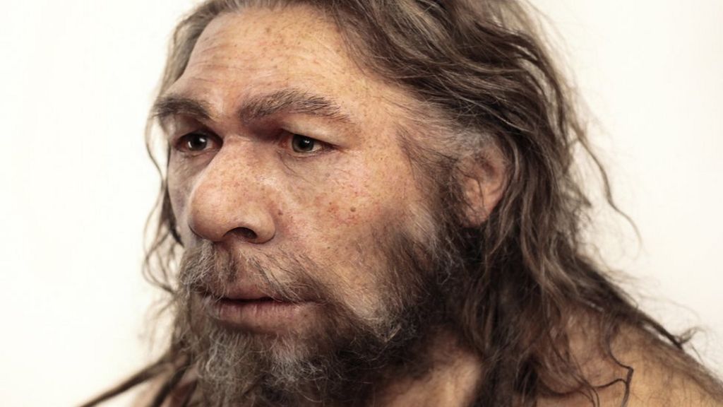Clue to Neanderthal breeding barrier