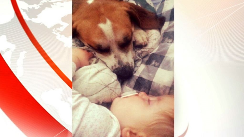 Dudley Port family blackmailed by text over missing dog