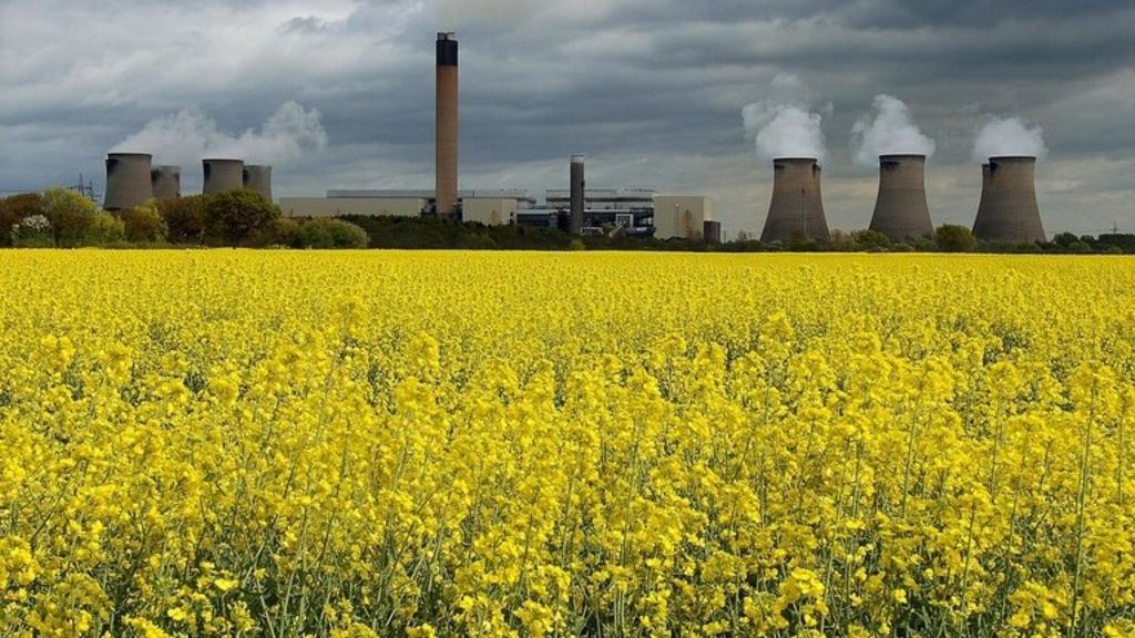 Drax pulls out of carbon capture scheme