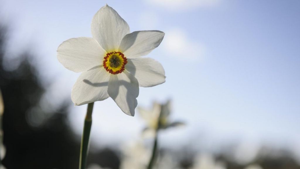 Money calendar offers financial tips