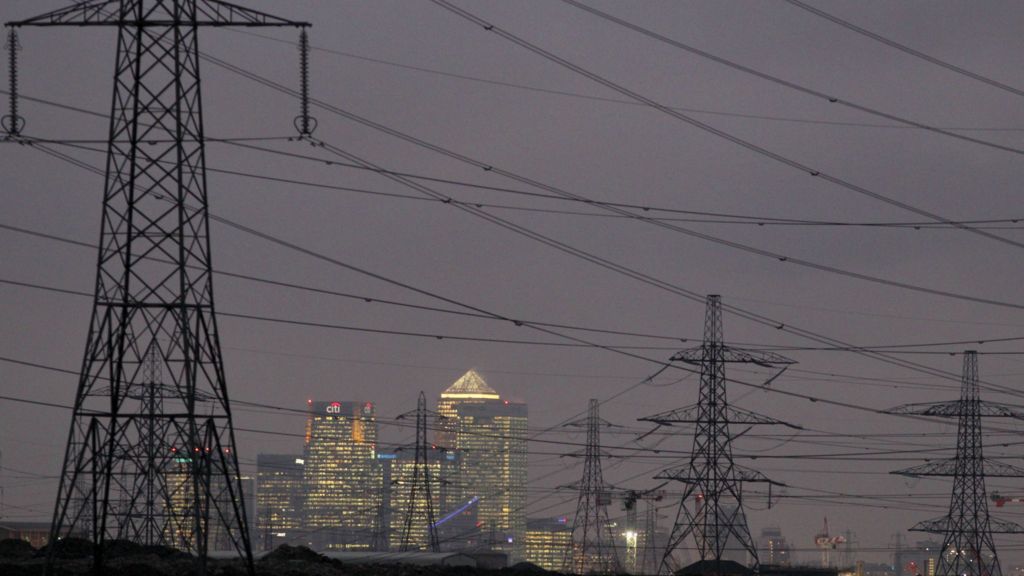 Government meddling makes energy costlier, peers say