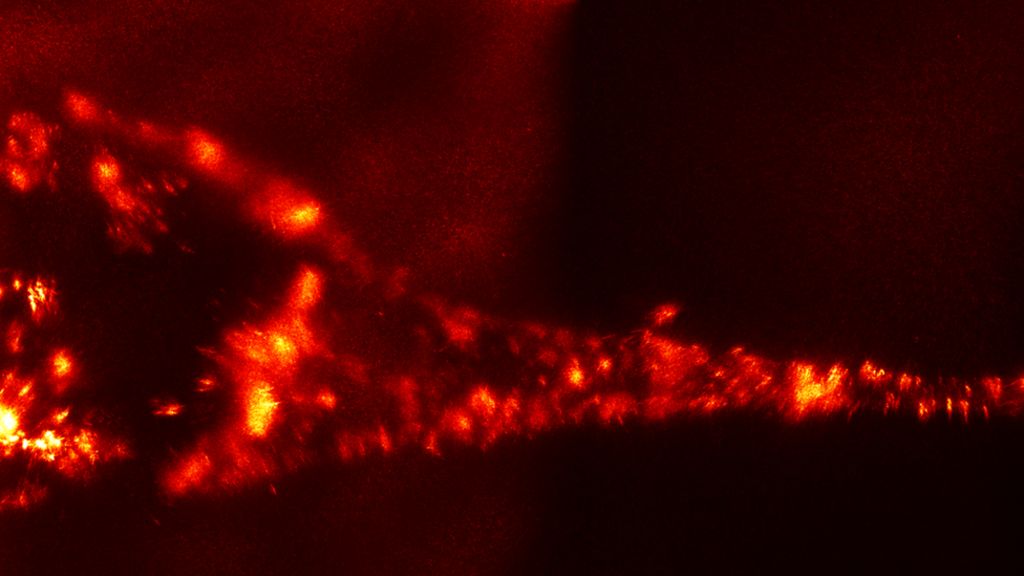 Comet dust 'ballistics' probed in 3D