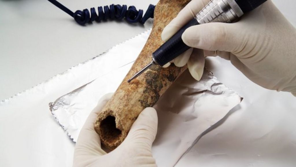 radiocarbon dating used in archaeology