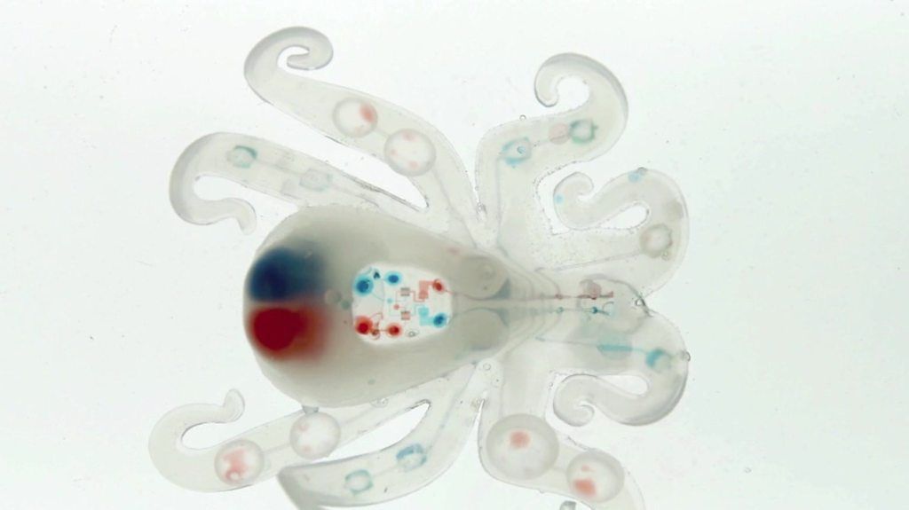 Meet the octobot: A first for soft robotics