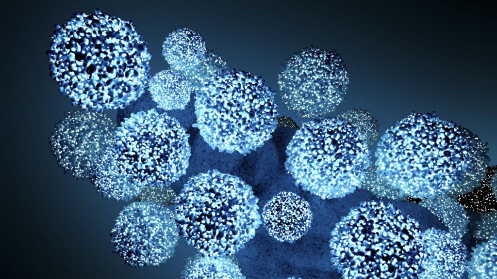 HIV Patient Zero cleared by science