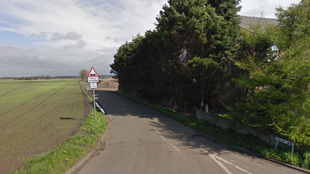 Woman, 76, dies as car hits tree