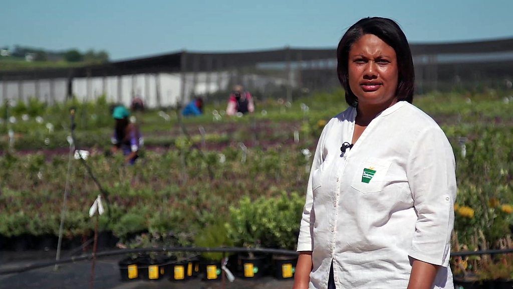 South Africa's scrubland plant entrepreneur - BBC News - BBC News