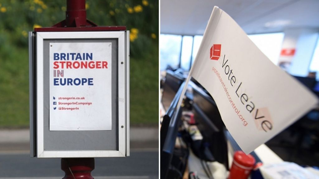 Leave and Remain EU donations revealed