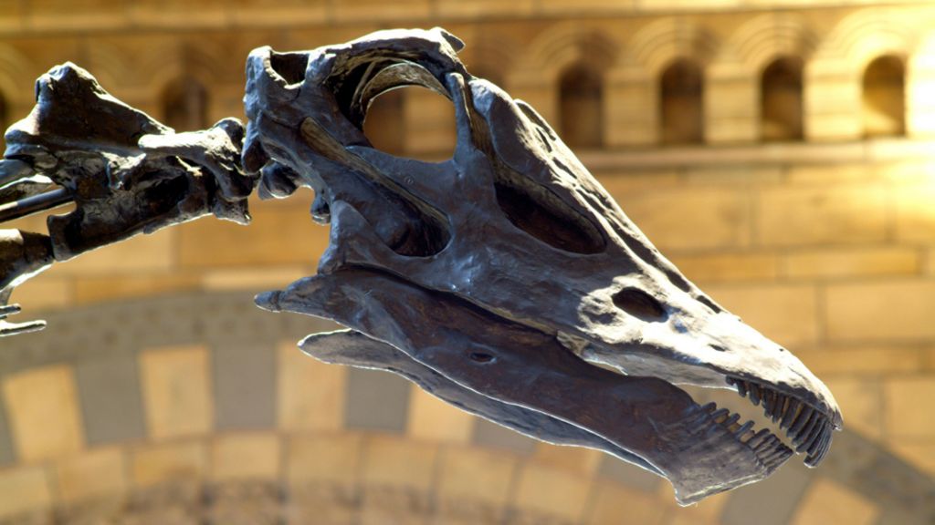 London visitors' last chance to see Dippy ahead of tour