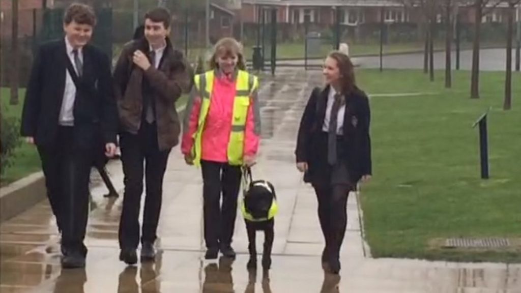 Girl 'one of youngest' to get guide dog