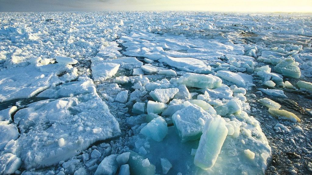 Arctic winter's sluggish sea-ice growth