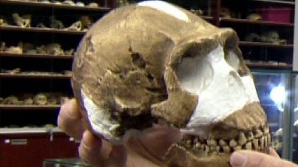 VIDEO: Is Homo naledi a new missing link?