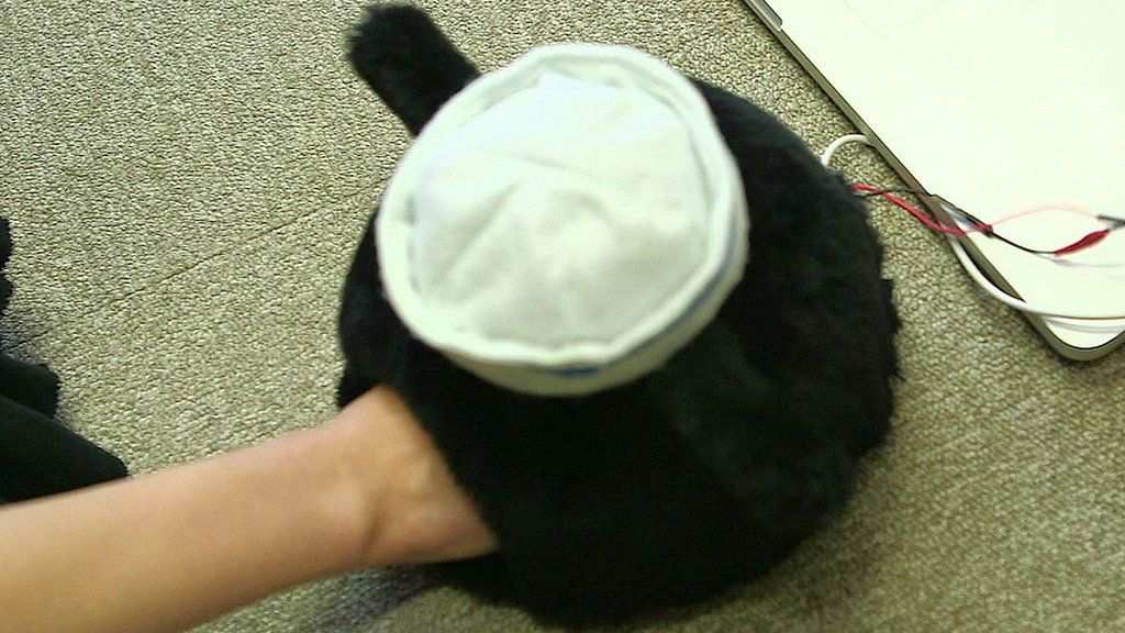 VIDEO: How to touch your cat from afar
