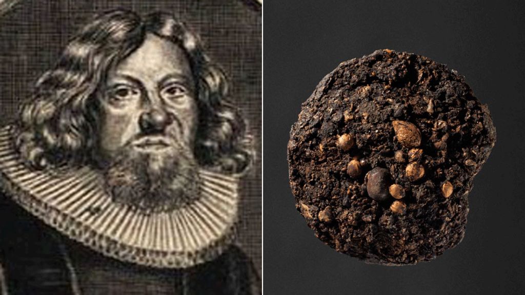 Danes identify Aalborg bishop's 300-year-old poo