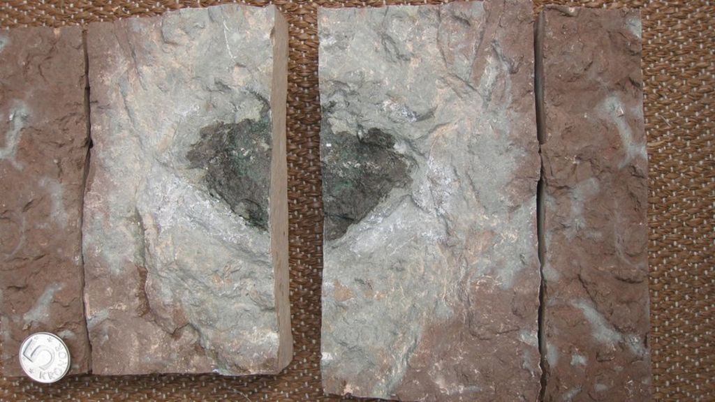 'Fossil' meteorite was from asteroid smash-up
