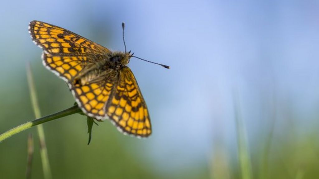 Nature loss linked to farming intensity