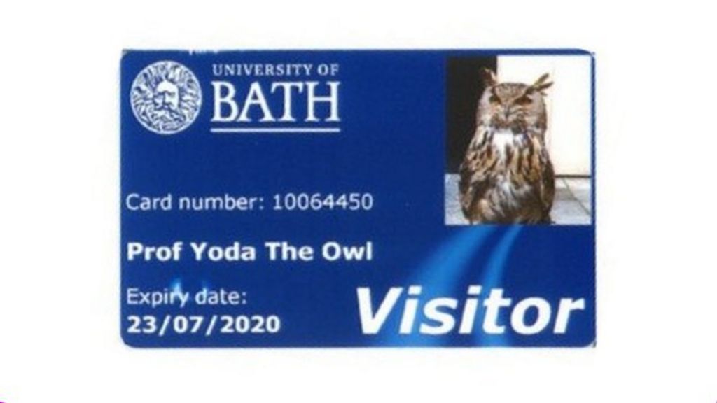 Owl given library card by university